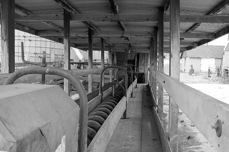 20060416-Bams84Birthday-010-bw