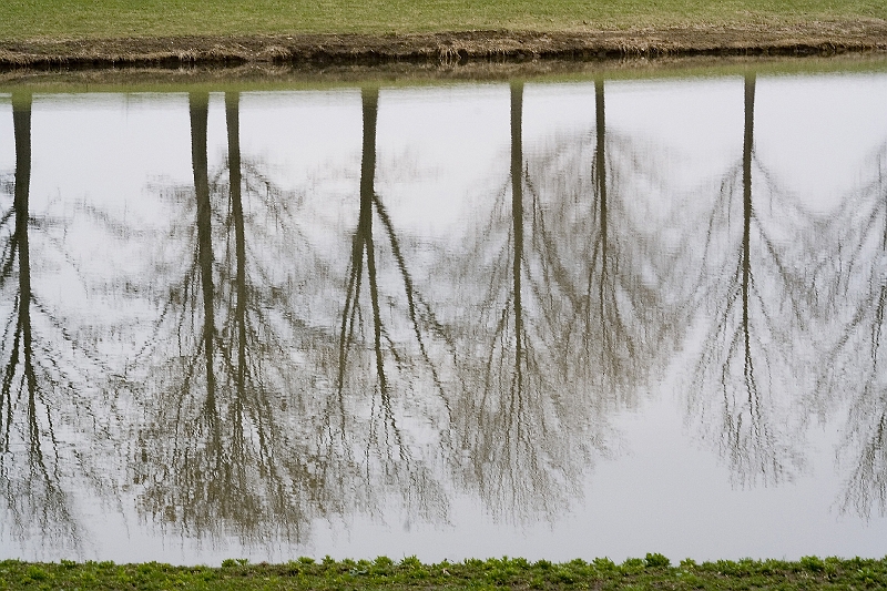 20060414-Bams84Birthday2-026