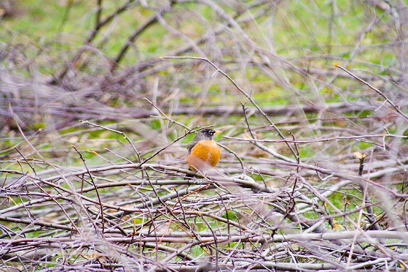 20060414-Bams84Birthday2-028