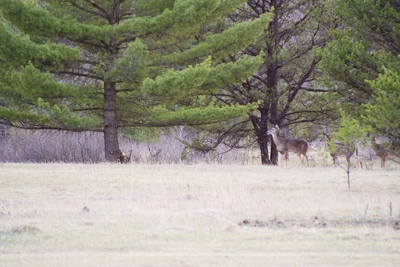20060414-Easter-222