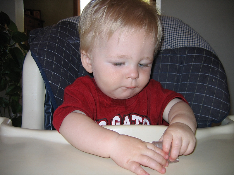 20060430-MaddiePics1-091