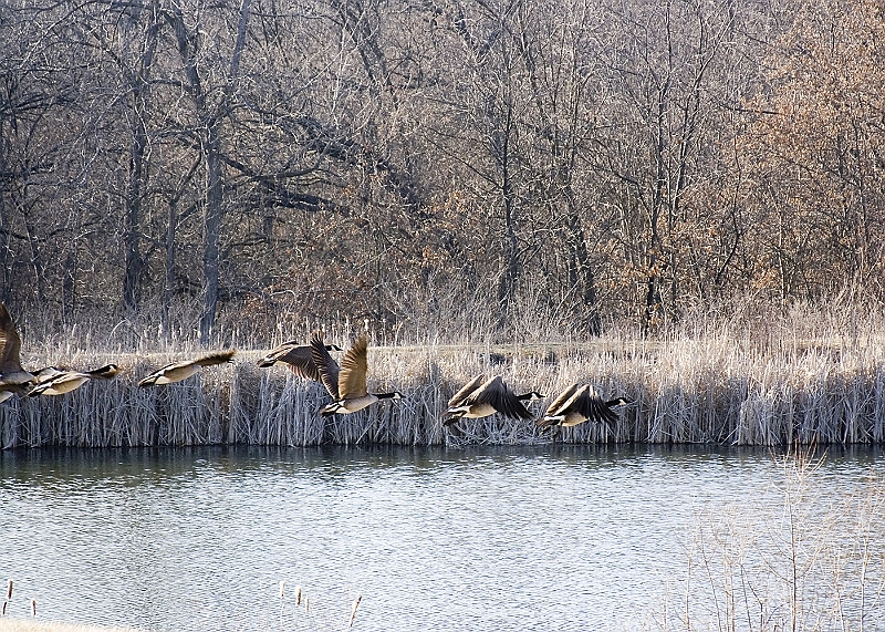 20060225-RandomPicsInMarch-070-1400x1000