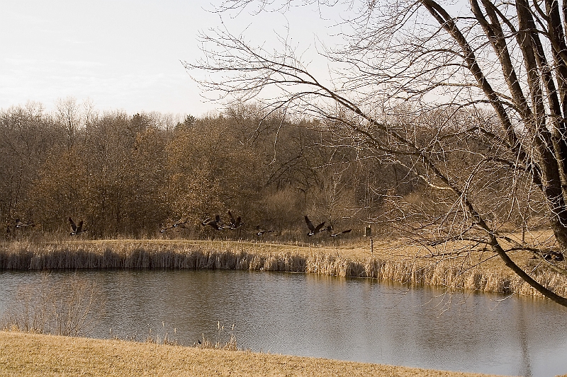 20060225-RandomPicsInMarch-071